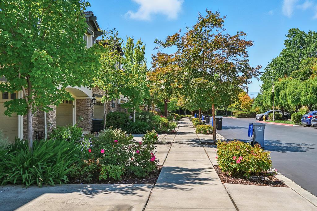 Detail Gallery Image 57 of 94 For 2881 Meridian Ave #224,  San Jose,  CA 95124 - 2 Beds | 2 Baths