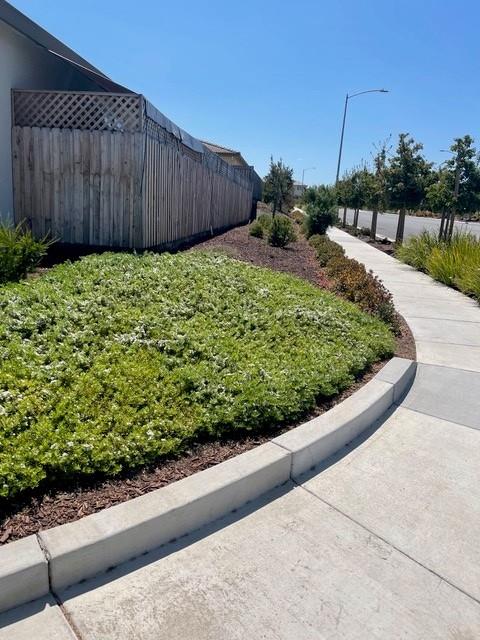 Detail Gallery Image 28 of 35 For 2001 Wildflower Dr, Hollister,  CA 95023 - 4 Beds | 2/1 Baths