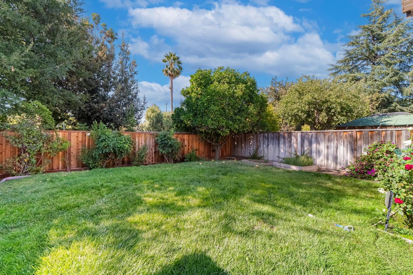 Detail Gallery Image 31 of 38 For 2598 Mabury Sq, San Jose,  CA 95133 - 3 Beds | 3 Baths