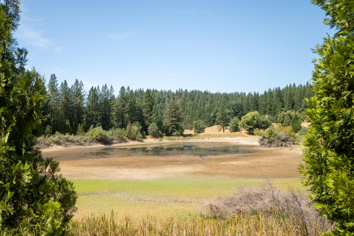 Detail Gallery Image 18 of 22 For 26131 Golf Links Dr, Pioneer,  CA 95666 - – Beds | – Baths