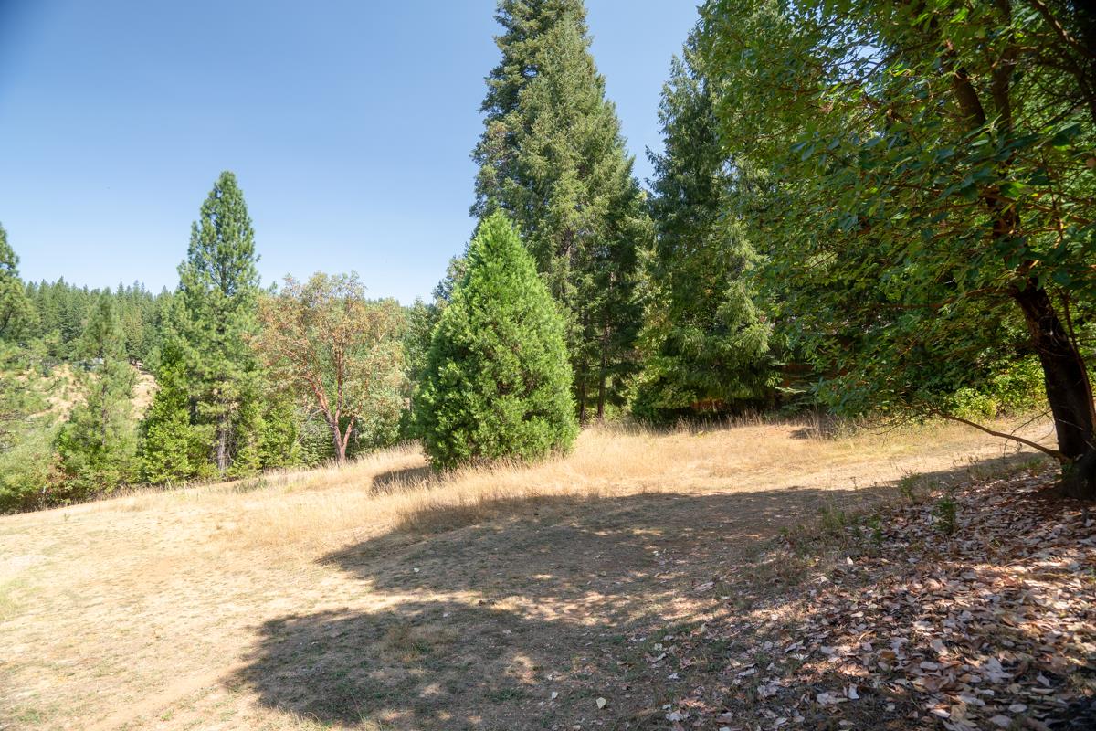 Detail Gallery Image 2 of 22 For 26131 Golf Links Dr, Pioneer,  CA 95666 - – Beds | – Baths