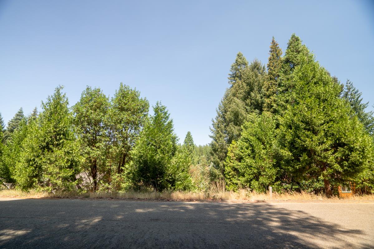 Detail Gallery Image 7 of 22 For 26131 Golf Links Dr, Pioneer,  CA 95666 - – Beds | – Baths