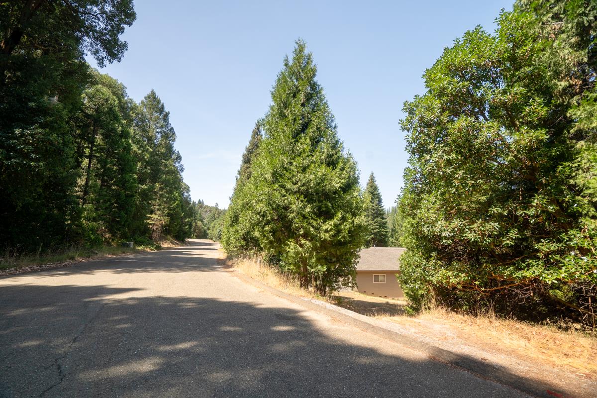 Detail Gallery Image 8 of 22 For 26131 Golf Links Dr, Pioneer,  CA 95666 - – Beds | – Baths
