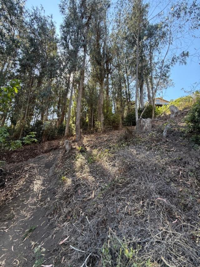 Detail Gallery Image 9 of 11 For Address Not Disclosed, El Granada,  CA 94018 - – Beds | – Baths