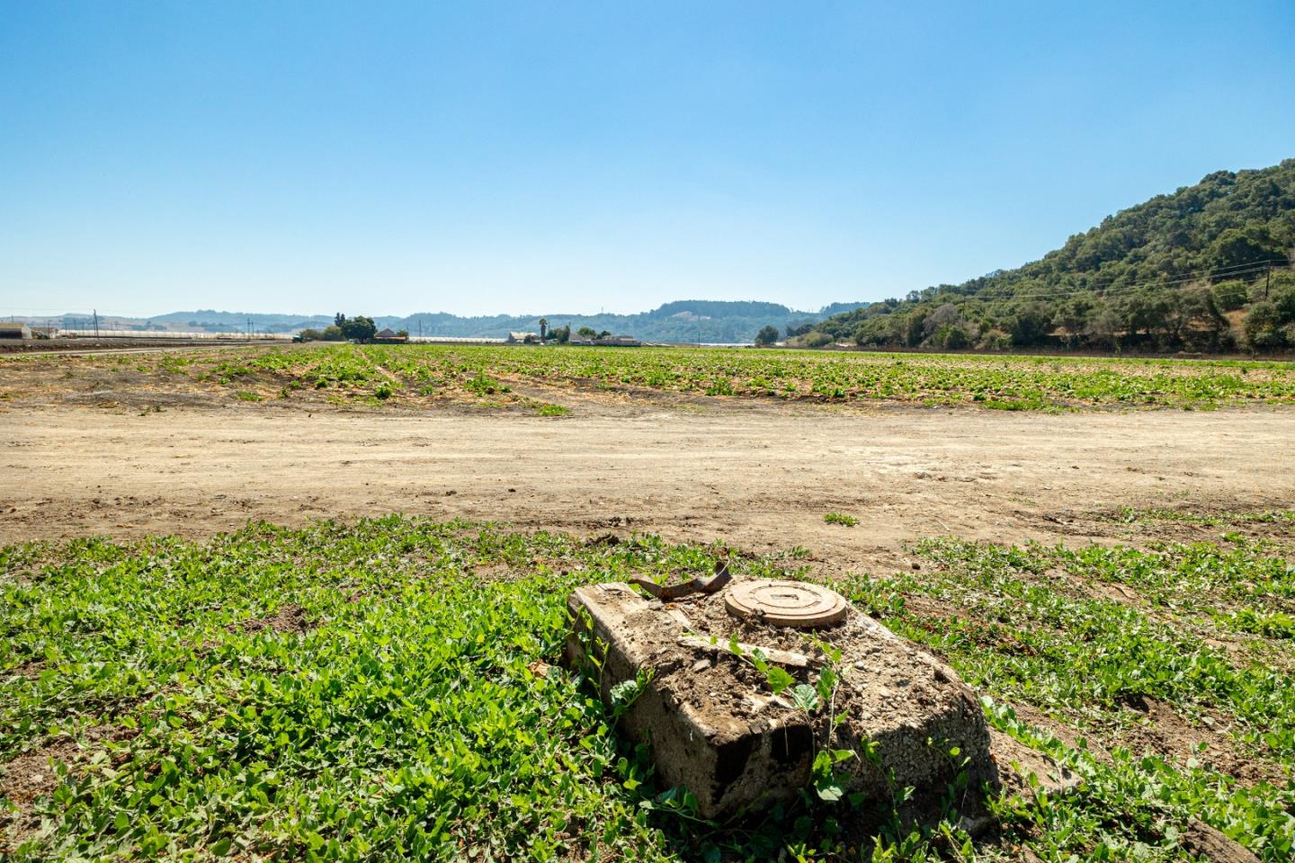 Detail Gallery Image 27 of 33 For 120 San Miguel Canyon Rd, Salinas,  CA 93901 - 4 Beds | 1/1 Baths