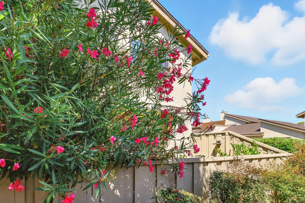 Detail Gallery Image 52 of 63 For 3133 Loma Verde Dr #39,  San Jose,  CA 95117 - 3 Beds | 2/1 Baths