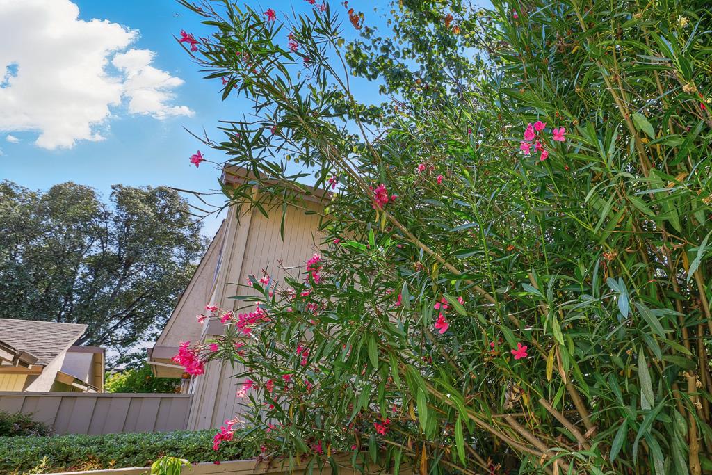 Detail Gallery Image 57 of 63 For 3133 Loma Verde Dr #39,  San Jose,  CA 95117 - 3 Beds | 2/1 Baths