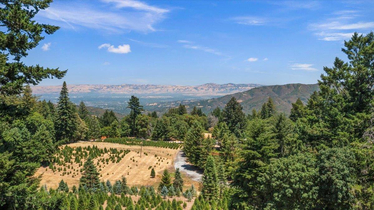 Detail Gallery Image 44 of 64 For 19960 Skyline Blvd, Los Gatos,  CA 95033 - 4 Beds | 3/1 Baths