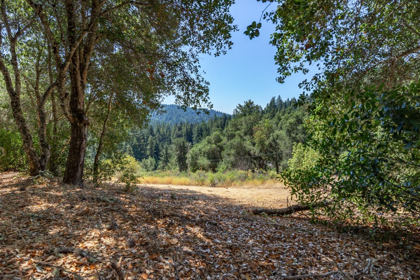Detail Gallery Image 51 of 53 For 450 Hawk Ridge Rd, Boulder Creek,  CA 95006 - 4 Beds | 3 Baths