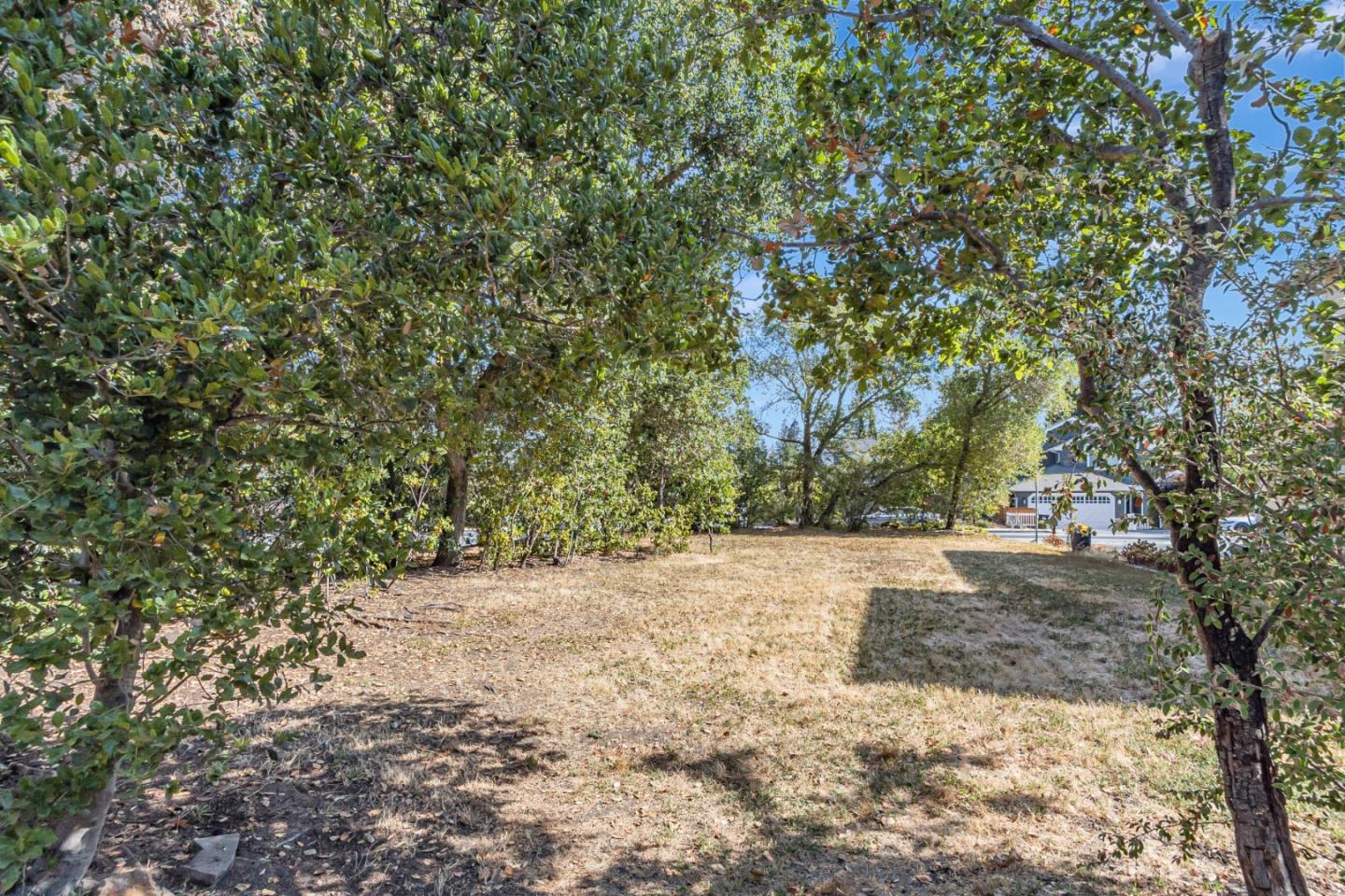 Detail Gallery Image 12 of 18 For 0 Sw Corner of Cedar Ave & Alameda, Menlo Park,  CA 94025 - – Beds | – Baths