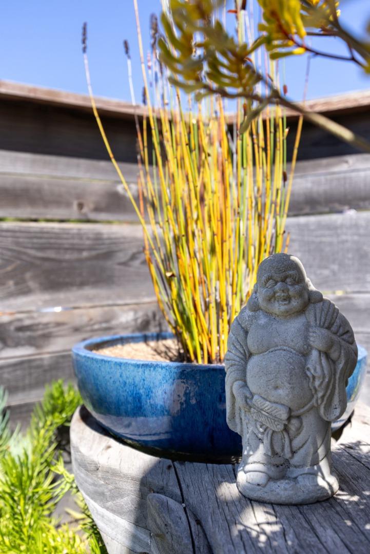 Detail Gallery Image 34 of 44 For 218 Moosehead Dr, Aptos,  CA 95003 - 4 Beds | 2/1 Baths