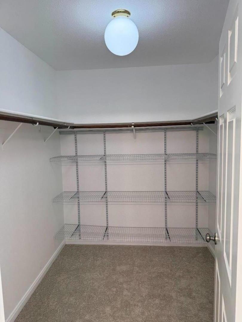 Detail Gallery Image 10 of 16 For 341 Clifton Ave, San Carlos,  CA 94070 - 3 Beds | 2/1 Baths