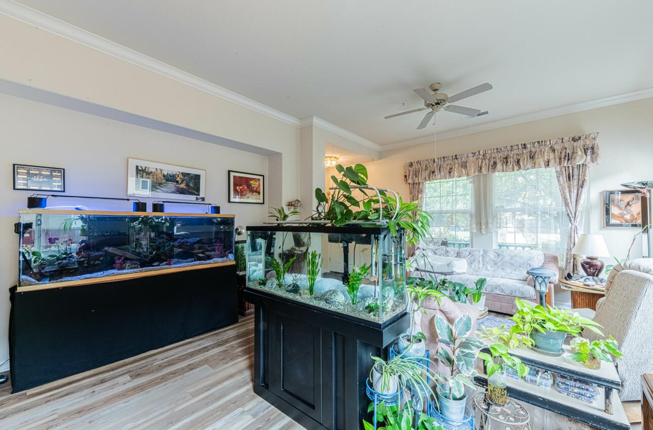 Detail Gallery Image 13 of 32 For 822 Castleton St, Salinas,  CA 93906 - 3 Beds | 2 Baths