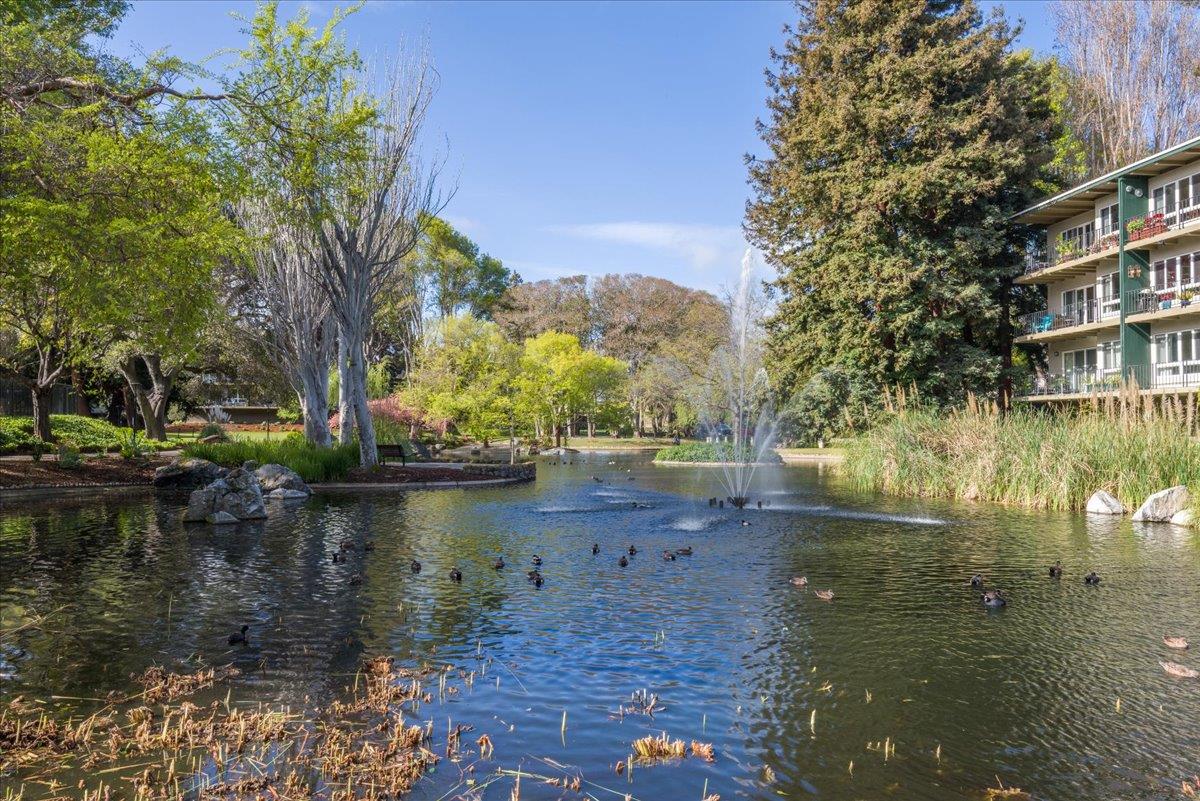 Detail Gallery Image 18 of 24 For 928 Peninsula Ave #303,  San Mateo,  CA 94401 - 0 Beds | 1 Baths