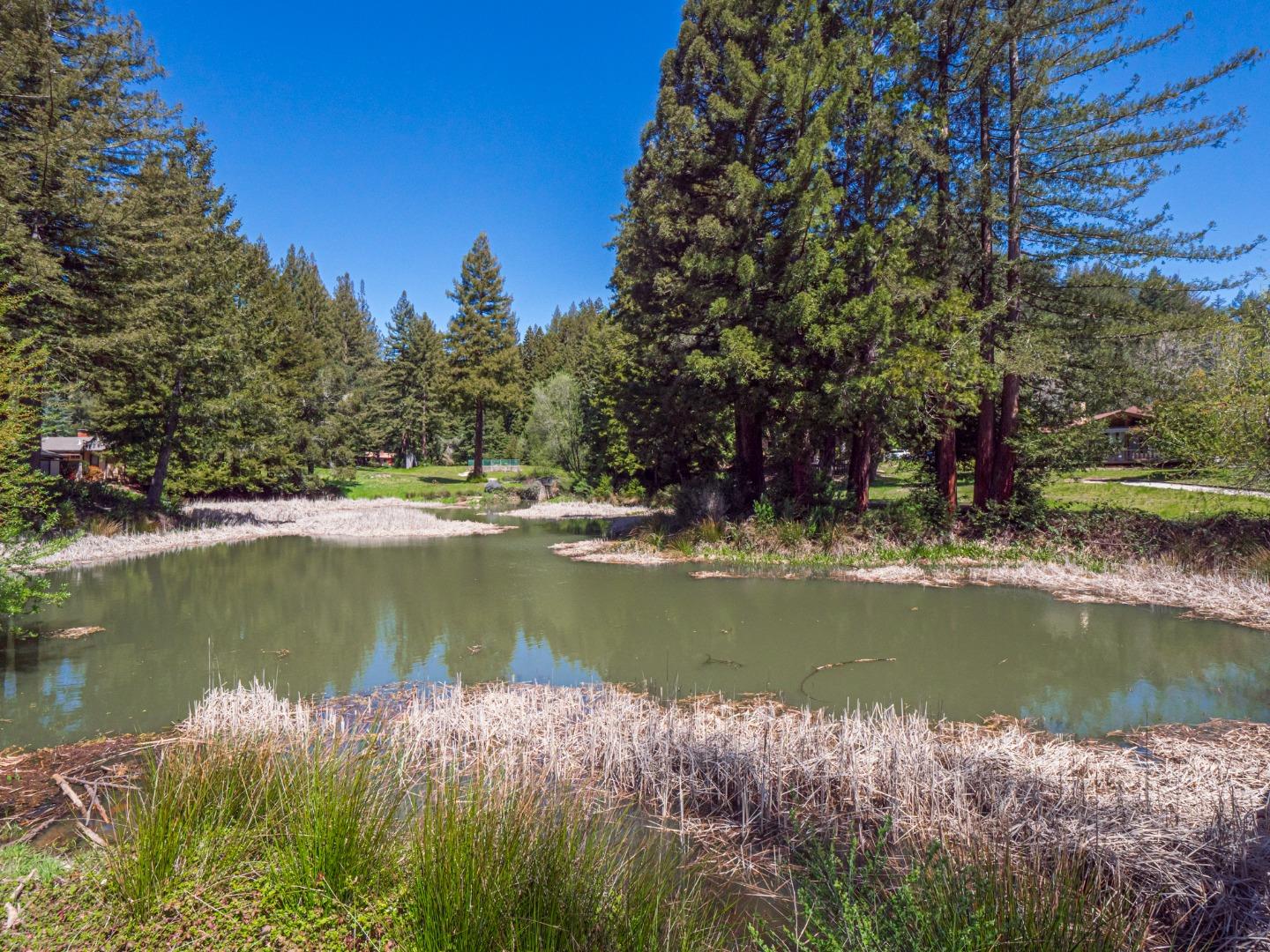 Detail Gallery Image 15 of 28 For 132 Kings Hwy, Boulder Creek,  CA 95006 - 1 Beds | 1 Baths