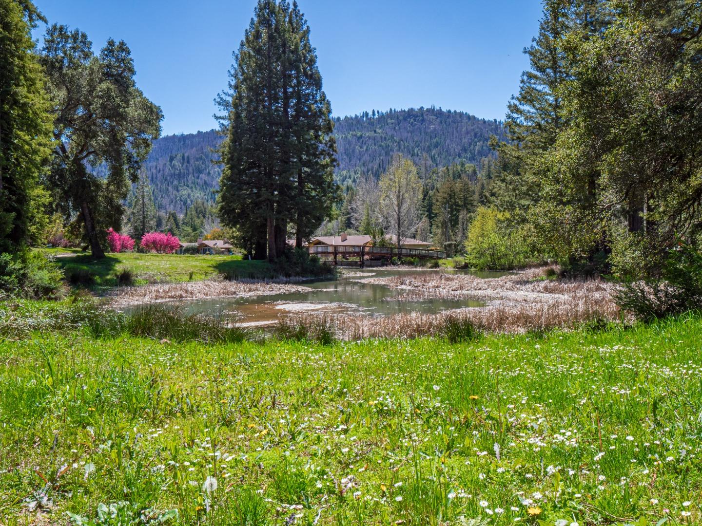 Detail Gallery Image 8 of 28 For 132 Kings Hwy, Boulder Creek,  CA 95006 - 1 Beds | 1 Baths
