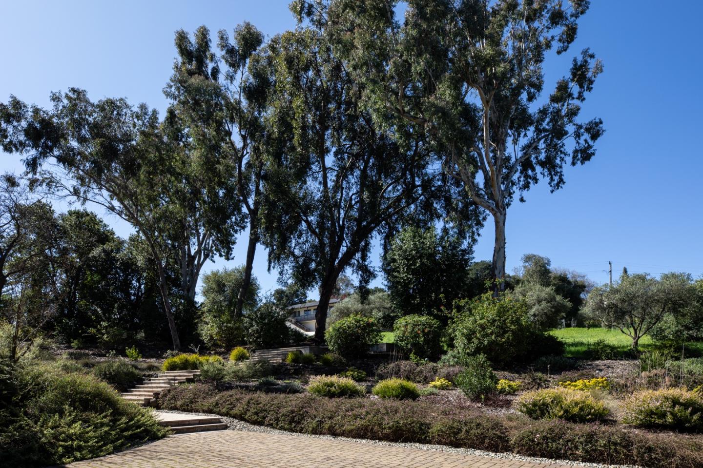 Detail Gallery Image 39 of 39 For 13456 Mandoli Dr, Los Altos Hills,  CA 94022 - 6 Beds | 6/1 Baths