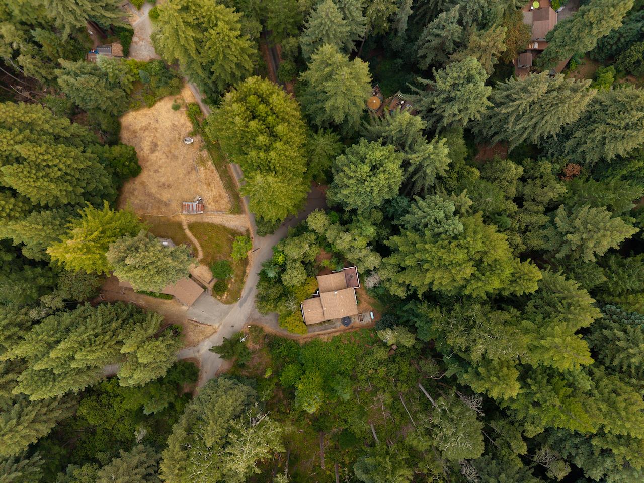 Detail Gallery Image 79 of 87 For 1415 Lost Acre Dr, Felton,  CA 95018 - 3 Beds | 2 Baths
