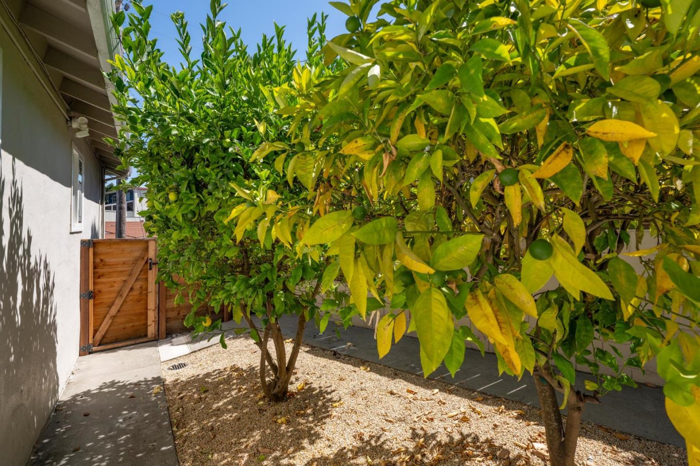 Detail Gallery Image 27 of 28 For 25 Bertocchi Ln, Millbrae,  CA 94030 - 4 Beds | 3 Baths