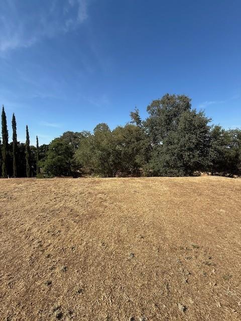 Detail Gallery Image 8 of 11 For 159 Mesa De Oro Cir, Sutter Creek,  CA 95685 - – Beds | – Baths