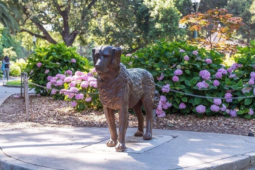 Detail Gallery Image 38 of 43 For 217 8th Ave #203,  San Mateo,  CA 94401 - 2 Beds | 2 Baths