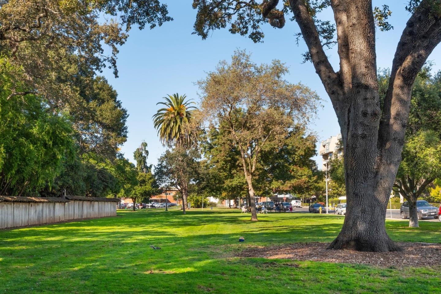 Detail Gallery Image 41 of 43 For 217 8th Ave #203,  San Mateo,  CA 94401 - 2 Beds | 2 Baths