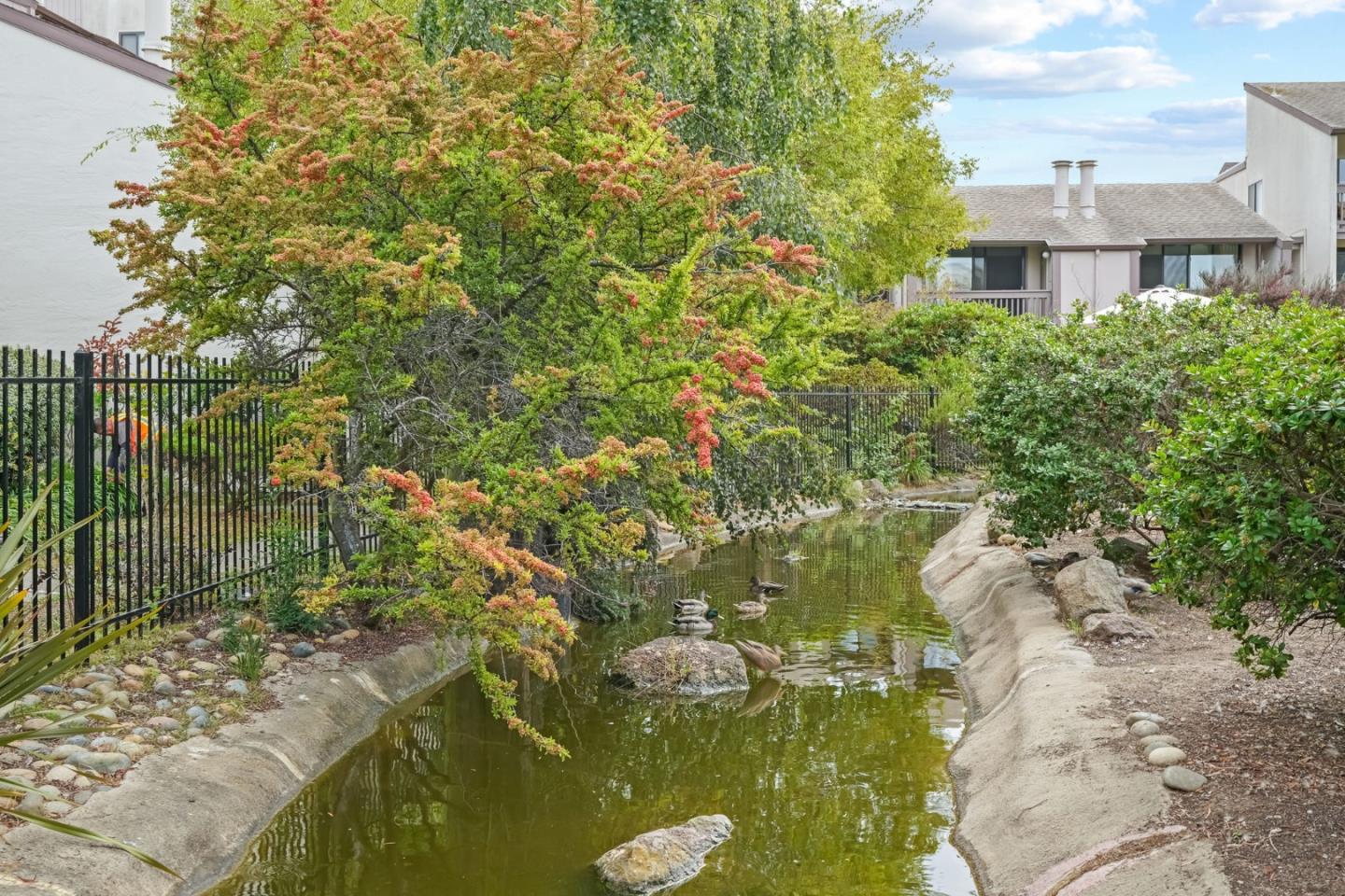 Detail Gallery Image 57 of 82 For 2101 Shoreline Dr #437,  Alameda,  CA 94501 - 2 Beds | 1/1 Baths