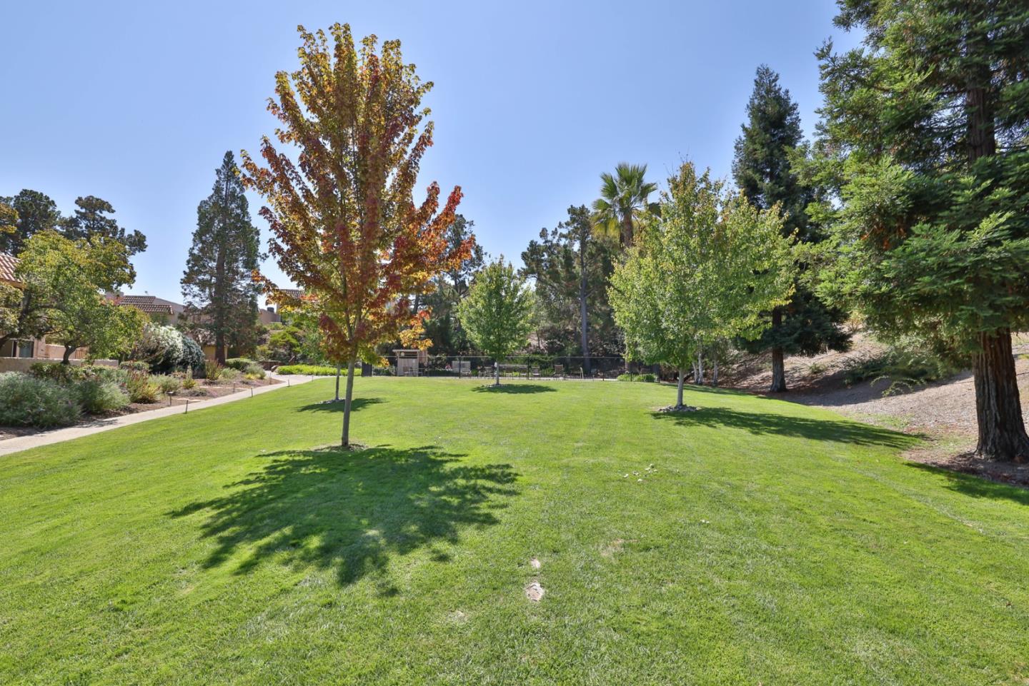 Detail Gallery Image 69 of 71 For 118 via Lago, Los Gatos,  CA 95032 - 3 Beds | 2/1 Baths