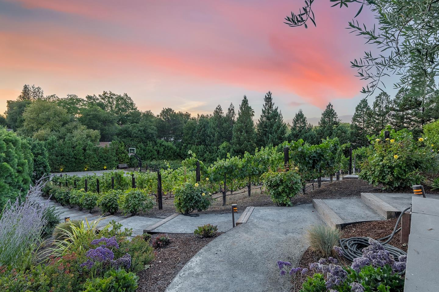 Detail Gallery Image 48 of 70 For 14966 Sobey Rd, Saratoga,  CA 95070 - 5 Beds | 5/2 Baths
