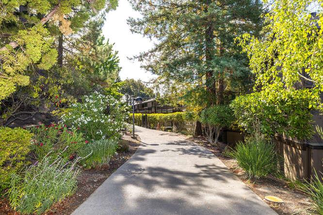 Detail Gallery Image 21 of 30 For Brittan Ave,  San Carlos,  CA 94070 - 2 Beds | 2 Baths