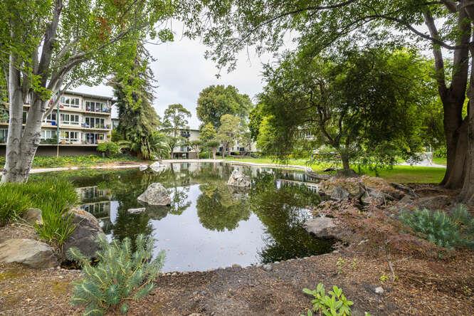 Detail Gallery Image 21 of 24 For 815 N Humboldt St #209,  San Mateo,  CA 94401 - 2 Beds | 1 Baths