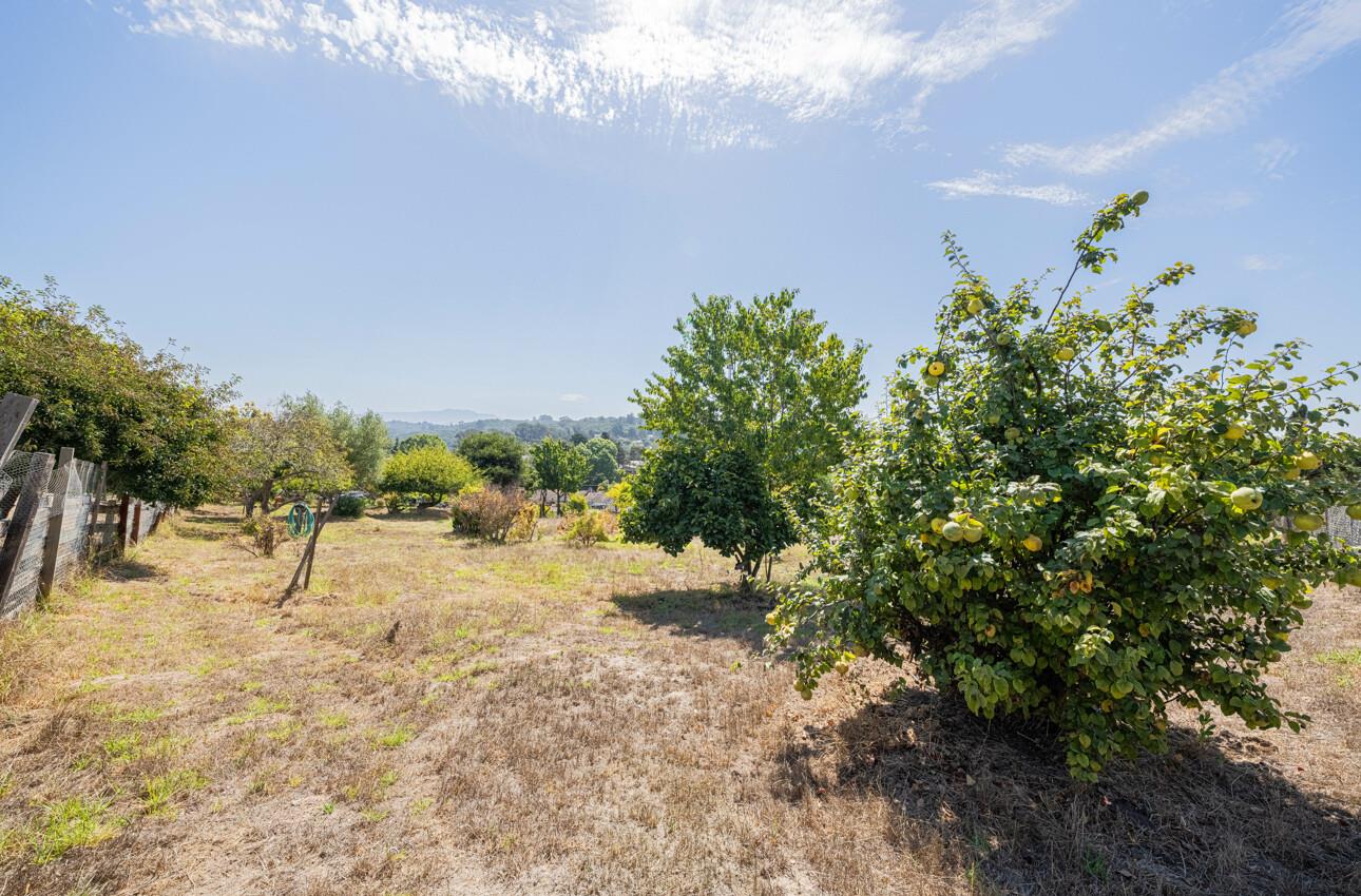 Detail Gallery Image 10 of 49 For 17945 Pesante Rd, Salinas,  CA 93907 - 4 Beds | 3 Baths