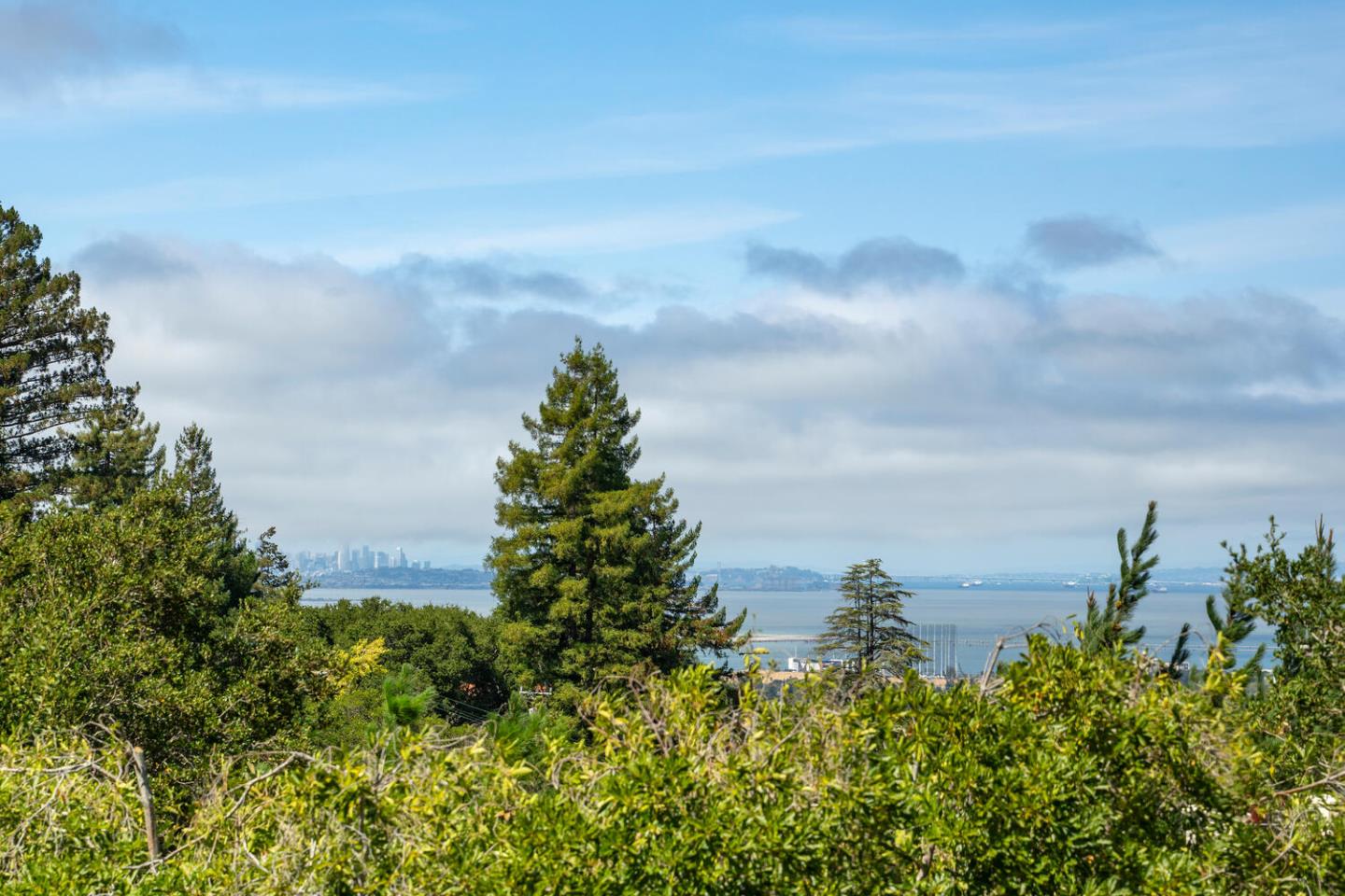 Detail Gallery Image 65 of 90 For 5 Drayton Rd, Hillsborough,  CA 94010 - 4 Beds | 3/1 Baths