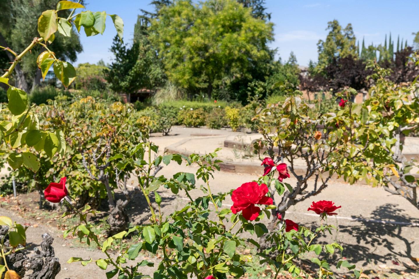 Detail Gallery Image 30 of 32 For 5813 Chambertin Dr, San Jose,  CA 95118 - 3 Beds | 2/1 Baths
