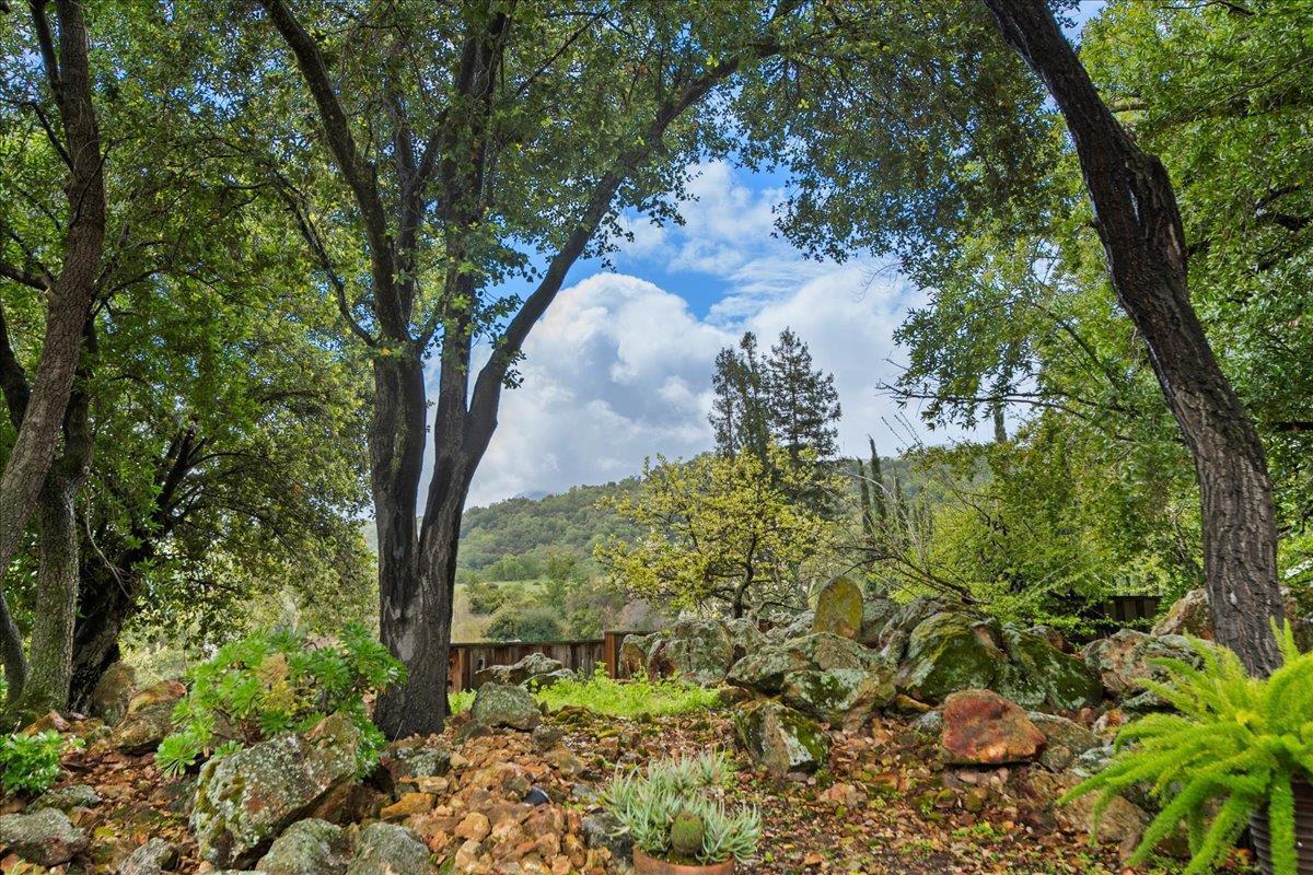 Detail Gallery Image 4 of 48 For 6641 Leyland Park Dr, San Jose,  CA 95120 - 3 Beds | 2/1 Baths