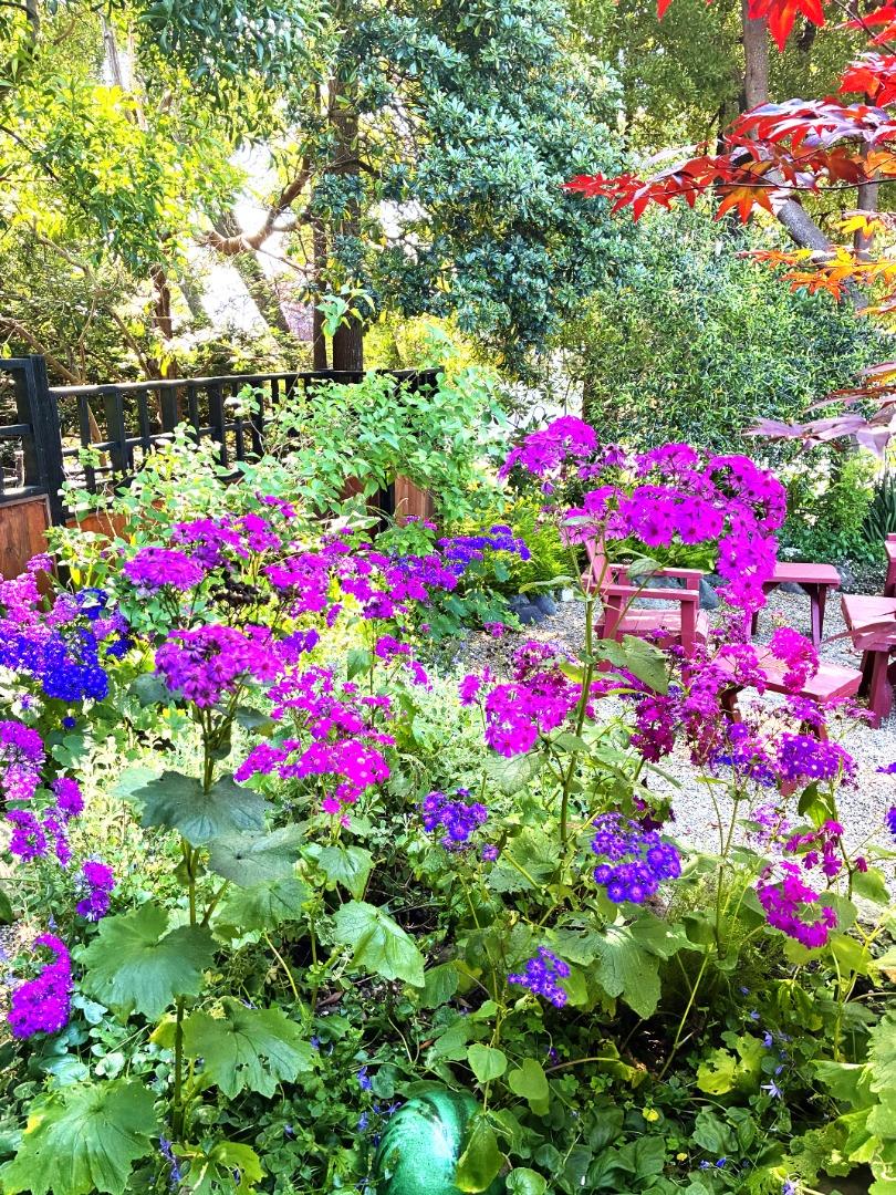 Detail Gallery Image 26 of 33 For 1047 Acacia St, Montara,  CA 94037 - 3 Beds | 2 Baths