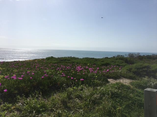 Detail Gallery Image 32 of 33 For 1047 Acacia St, Montara,  CA 94037 - 3 Beds | 2 Baths