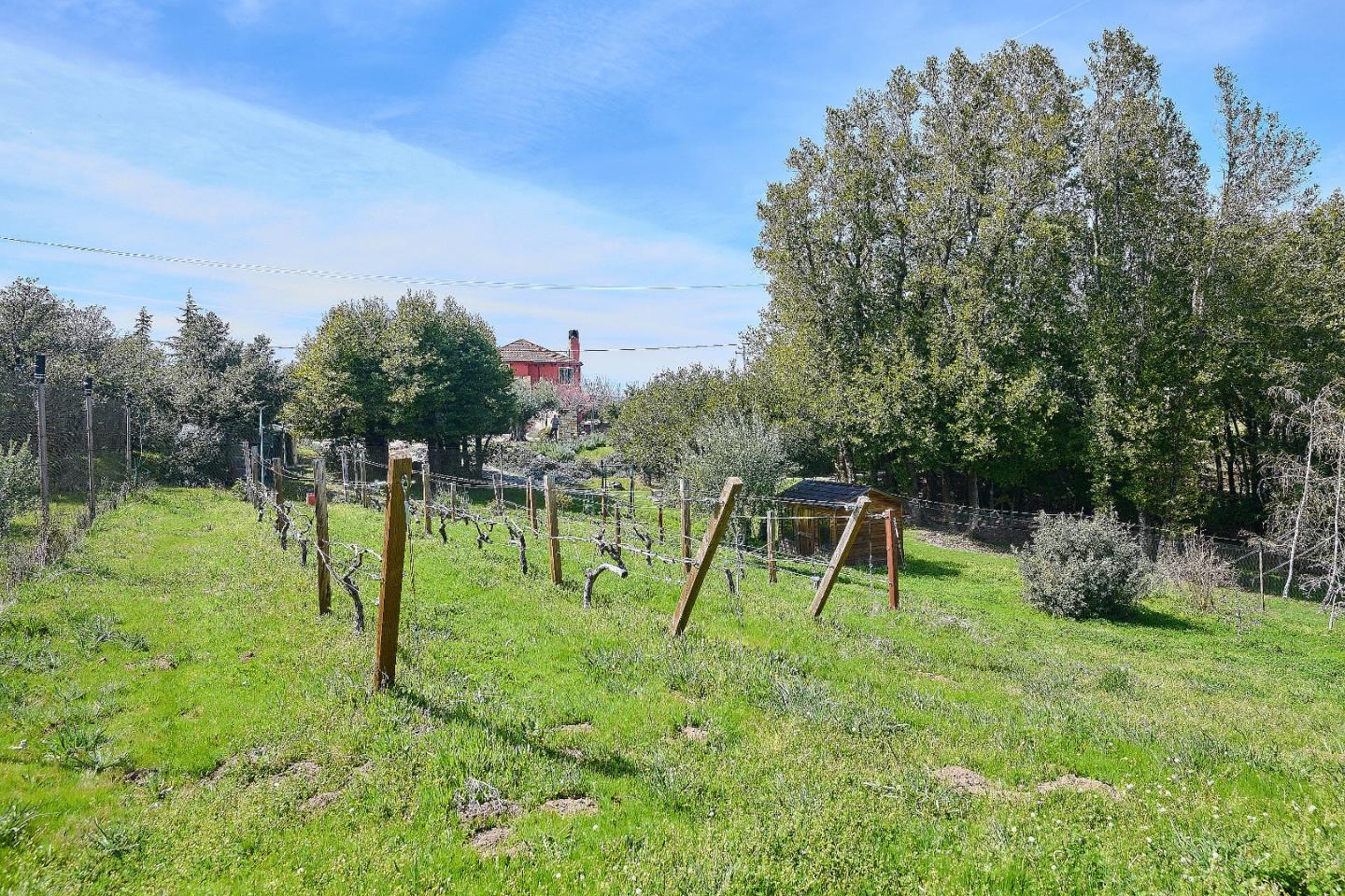 Detail Gallery Image 31 of 35 For 17035 Bohlman Rd, Saratoga,  CA 95070 - 4 Beds | 2/1 Baths