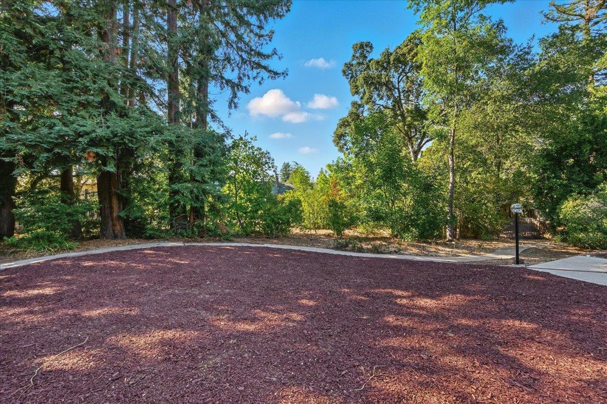 Detail Gallery Image 79 of 88 For 14582 Horseshoe Dr, Saratoga,  CA 95070 - 5 Beds | 3/1 Baths