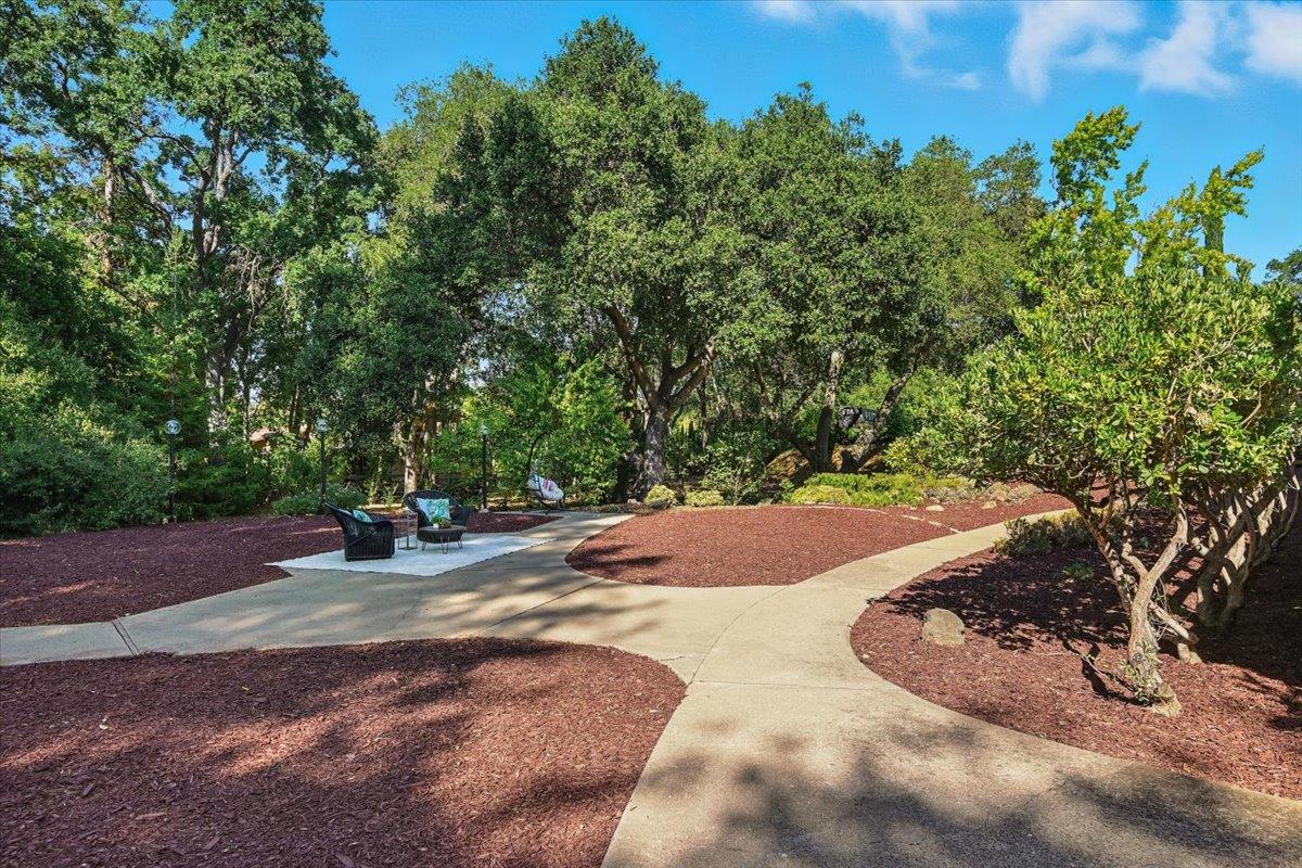 Detail Gallery Image 80 of 88 For 14582 Horseshoe Dr, Saratoga,  CA 95070 - 5 Beds | 3/1 Baths