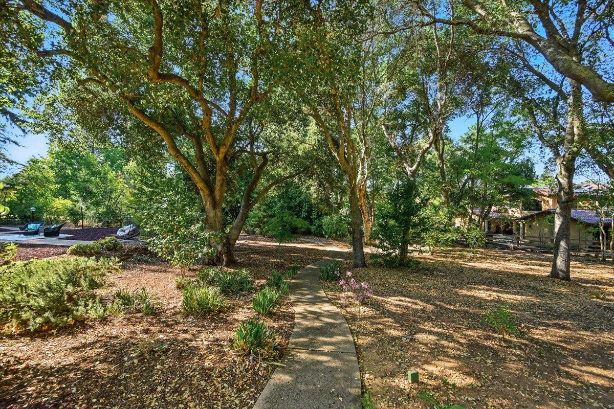 Detail Gallery Image 82 of 88 For 14582 Horseshoe Dr, Saratoga,  CA 95070 - 5 Beds | 3/1 Baths