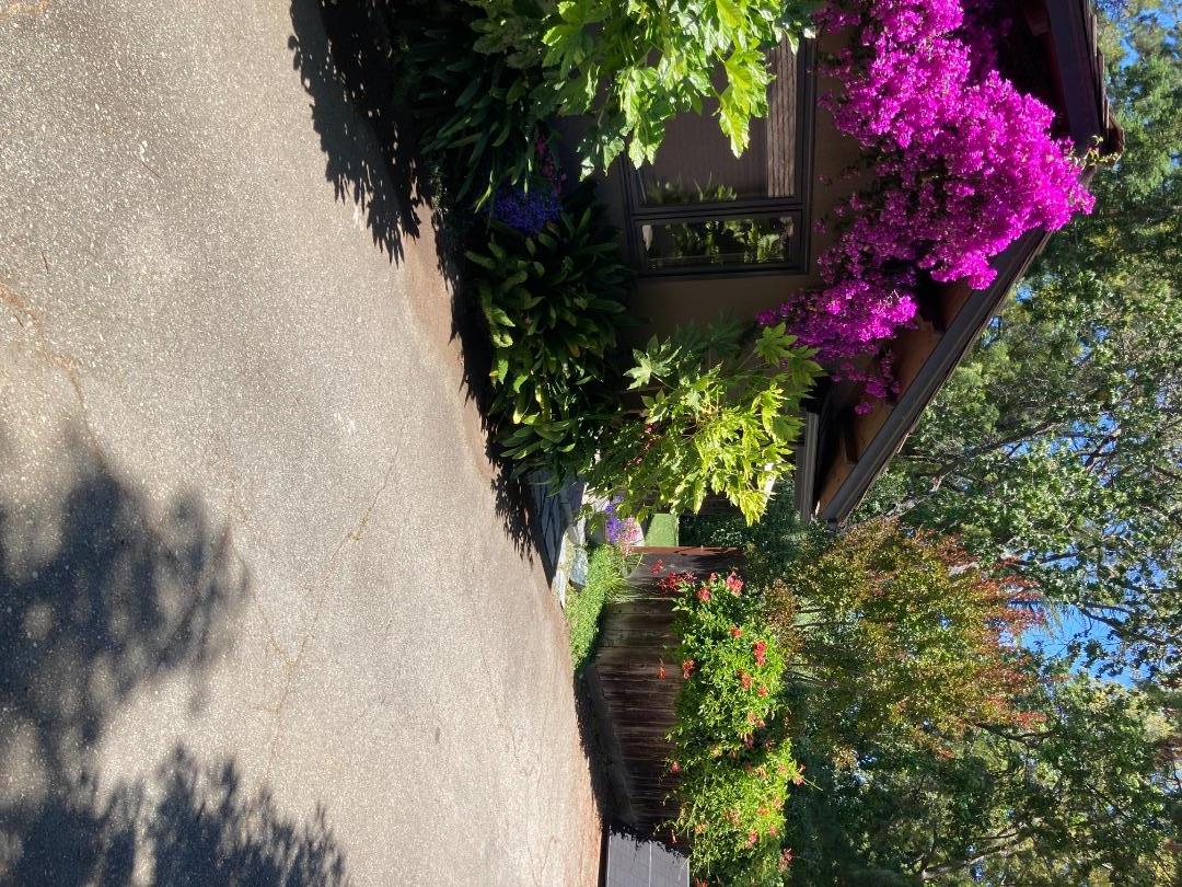 Detail Gallery Image 30 of 31 For 623 1/2 Paco Dr, Los Altos,  CA 94024 - 2 Beds | 1 Baths