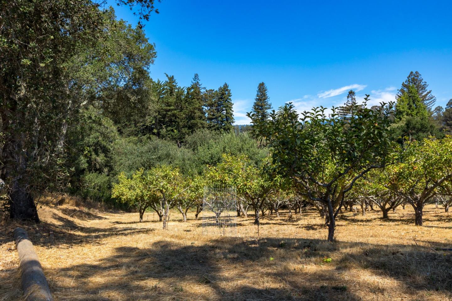 Detail Gallery Image 22 of 26 For 125 Gilchrist Way, Watsonville,  CA 95076 - – Beds | – Baths