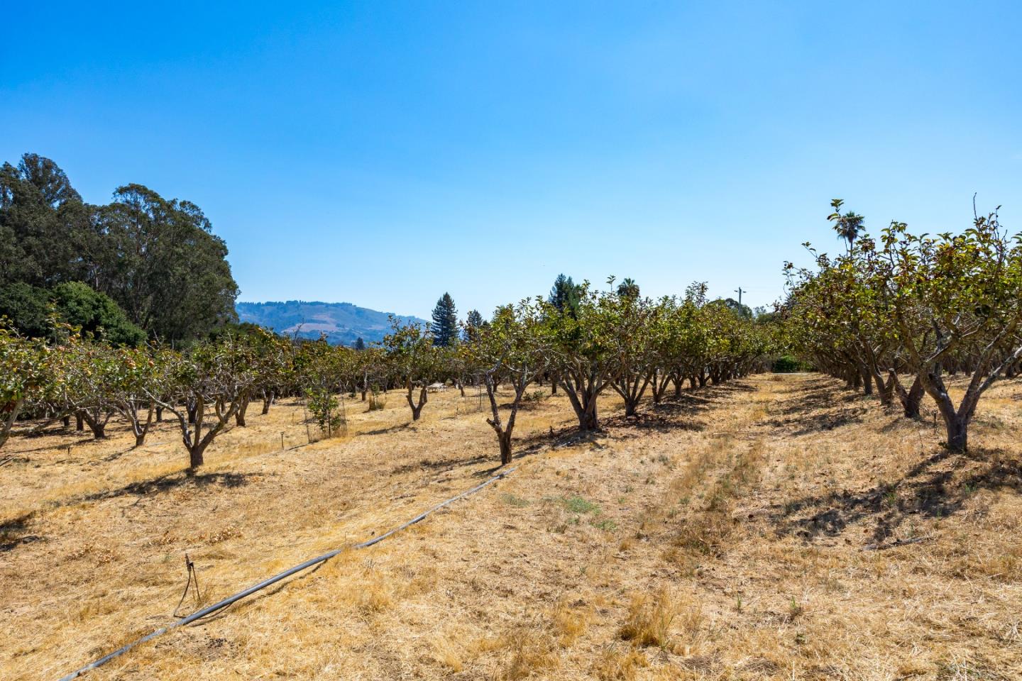 Detail Gallery Image 24 of 26 For 125 Gilchrist Way, Watsonville,  CA 95076 - – Beds | – Baths