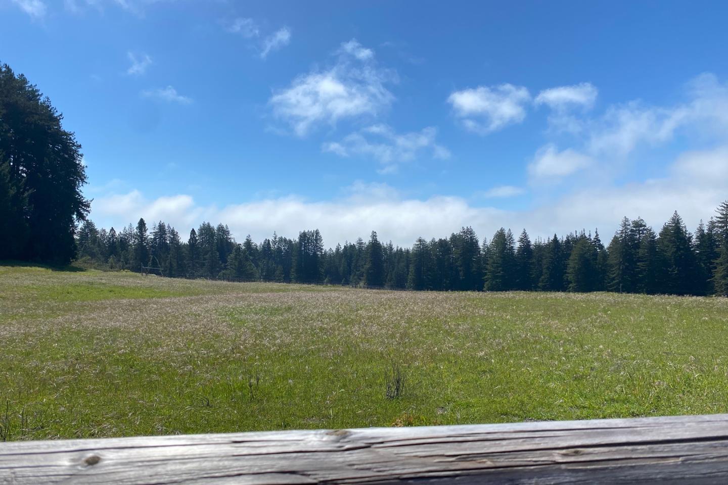 Detail Gallery Image 24 of 26 For 3980 Bonny Doon Rd, Santa Cruz,  CA 95060 - – Beds | – Baths
