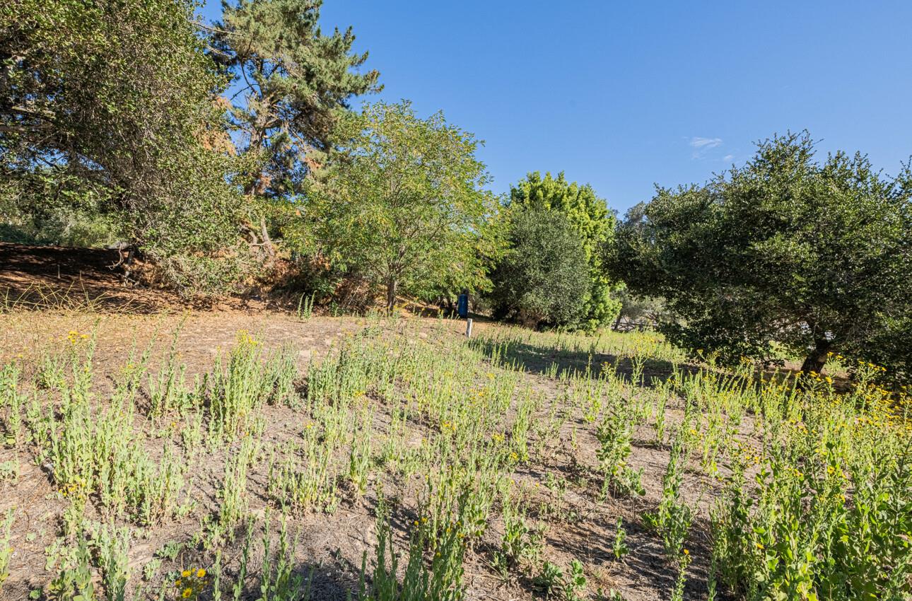 Detail Gallery Image 20 of 24 For 7500 Langley Canyon Rd, Salinas,  CA 93907 - 4 Beds | 3 Baths