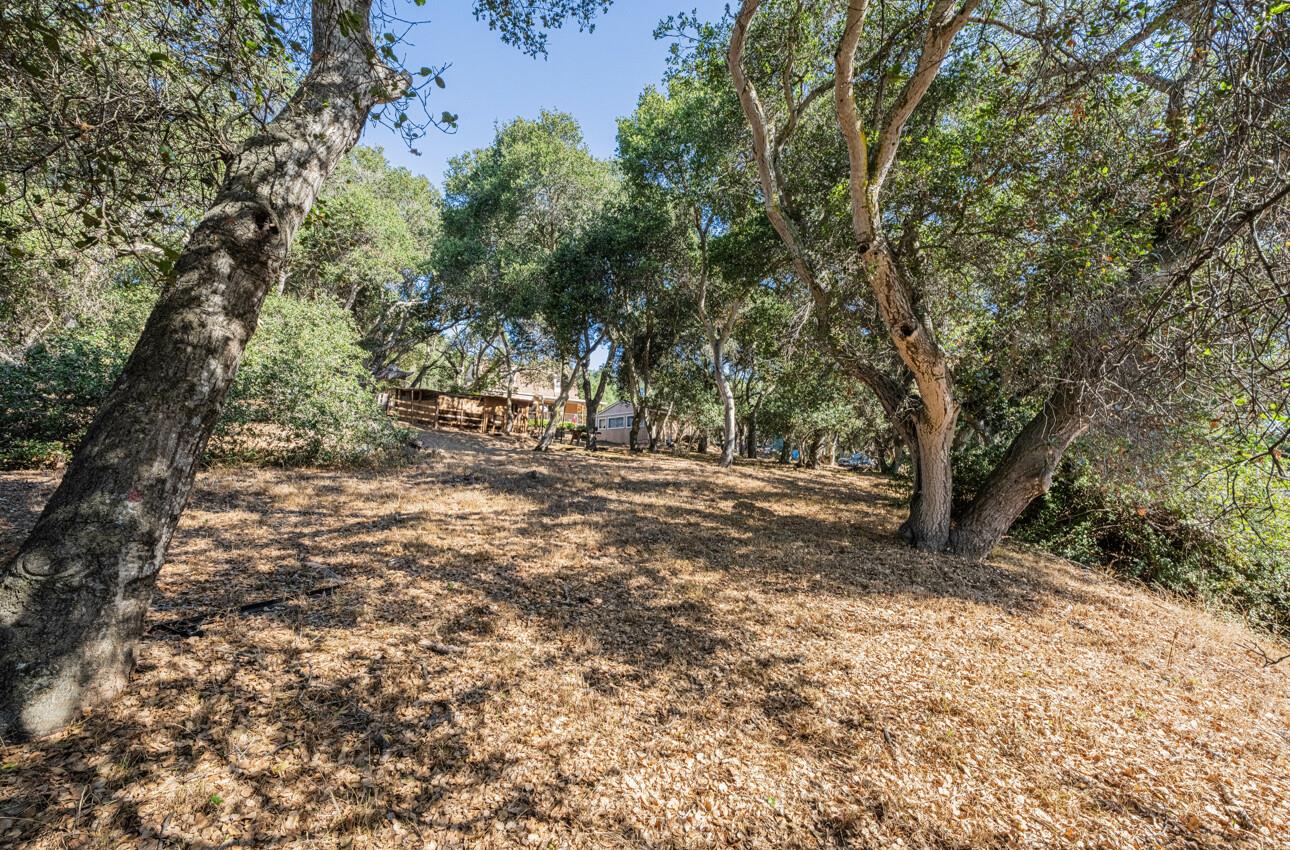 Detail Gallery Image 21 of 24 For 7500 Langley Canyon Rd, Salinas,  CA 93907 - 4 Beds | 3 Baths