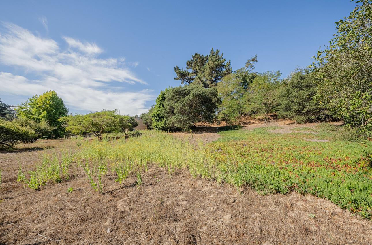 Detail Gallery Image 23 of 24 For 7500 Langley Canyon Rd, Salinas,  CA 93907 - 4 Beds | 3 Baths