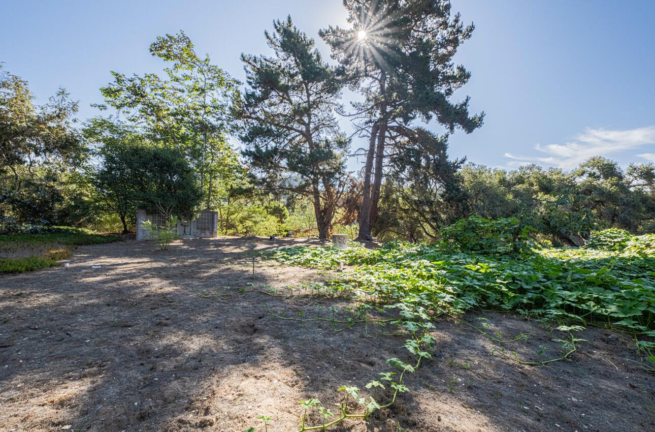 Detail Gallery Image 6 of 24 For 7500 Langley Canyon Rd, Salinas,  CA 93907 - 4 Beds | 3 Baths