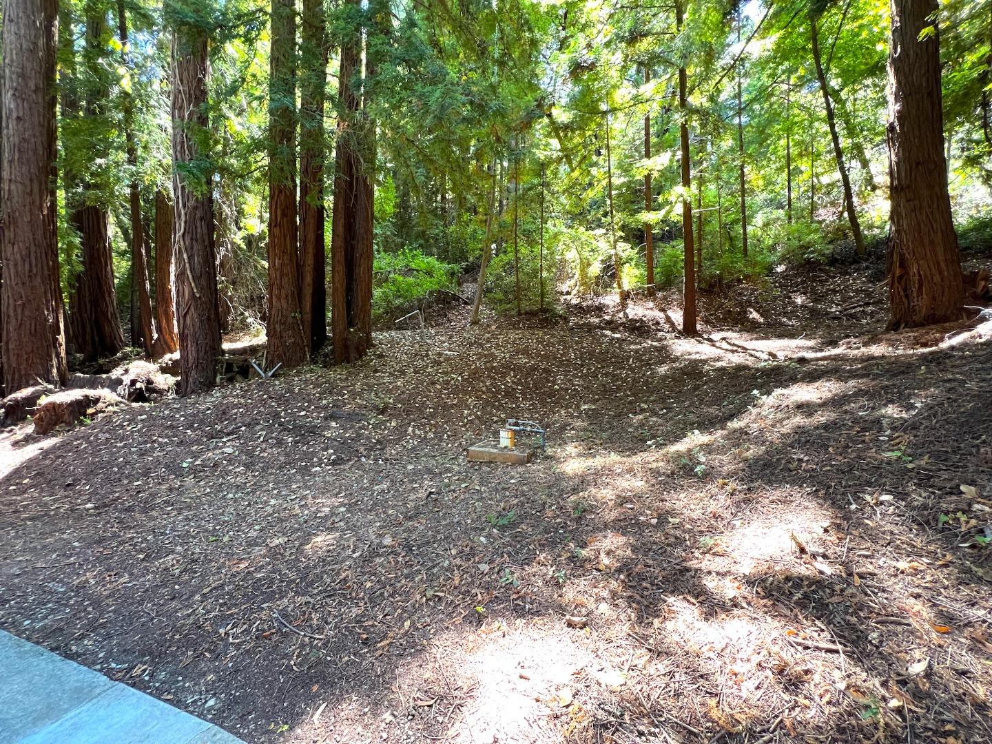 Detail Gallery Image 34 of 35 For 225 White Rock Rd, Los Gatos,  CA 95033 - 3 Beds | 2 Baths